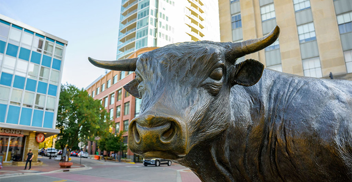 Close up of bronze bull statue.